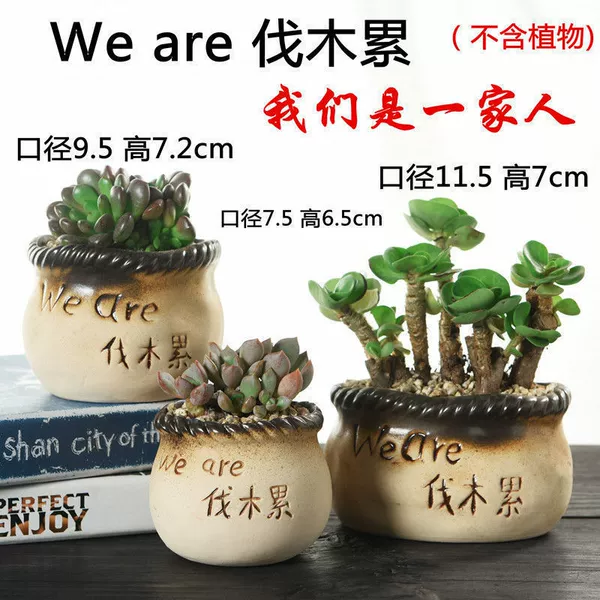 We are a family 3
