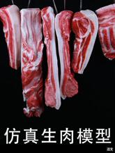 仿真食物模型假菜生肉猪肉条腊肉羊排五花肉猪蹄猪头食品样品菜品