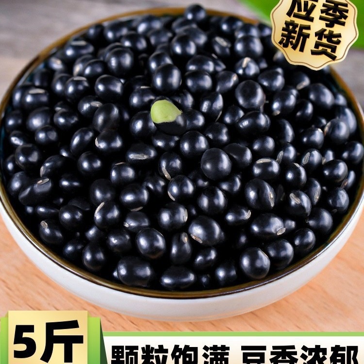 23 New Arrivals of Green-Core Large Black Beans 2.5kg Farm-Grown Green-Skinned Black Beans with Green Hearts, Suitable for Sprouting and Making Soy Milk