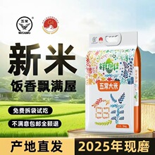 ����һ���l�ɰ����峣����2025�����׺������|�����׹ٷ���Ş��