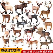 �羳���涯��ģ��ʵ����¹��¹ѱ¹��β¹��ͯ��֪���ʥ���ڰڼ�