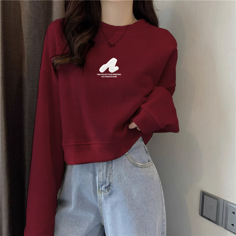 Small short long sleeve sweater coat 2024 autumn and winter new Korean version of velvet padded base shirt clothes