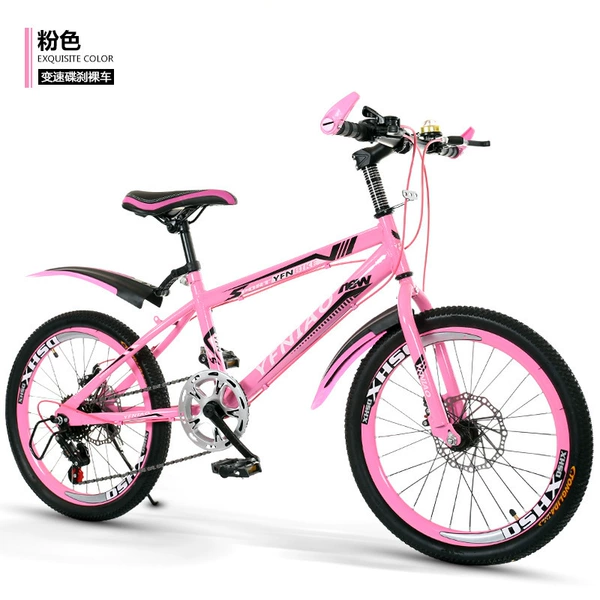Fuchsia bike shifter (brake handle) disc brake, set