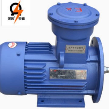 浙江强立隔爆电动机隔爆电机马达YBX3 YB2系列37kw-4厂家直发