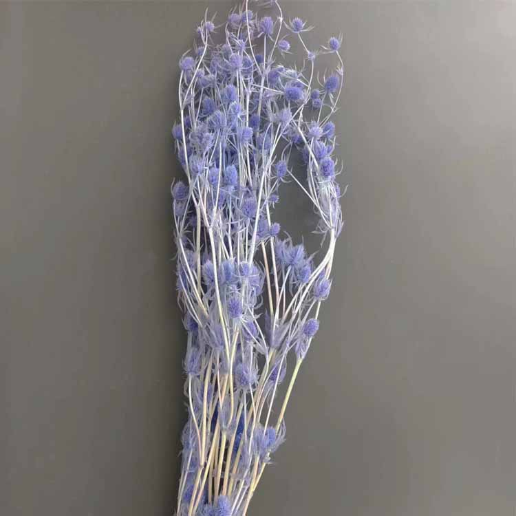 블루 퍼플 [약 100]