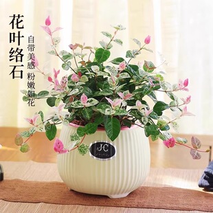 ���~�jʯ����ֲ���k���҃Ȼ��ܿ͏d����С�Gֲ�ļ����B���׻��