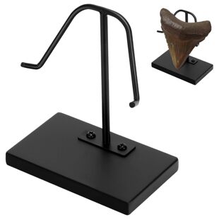 �Fˇ���~��չʾ�� ��м� �Ҿ��b[�� ֧���ռ{��