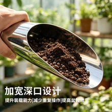 多肉工具不锈钢桶铲子花盆施肥小土铲土筒铲施肥盆景园艺多肉工具
