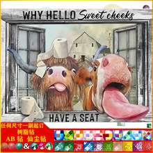 �S��ֱ�N5D���|AB�ɉm��֬荄���ţ�ʯ���͏d�b�