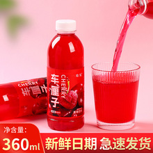 车厘子果汁饮料酸甜可口解渴解腻果味饮品350ml*24瓶整箱厂家直销