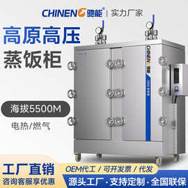 驰能高原蒸饭柜商用高压电蒸箱高原压力蒸饭车燃气蒸饭机电热蒸柜