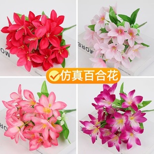 �ٻ����滨����֧����õ�彁���ɻ������řڻ���С�Ѳ廨��@�b�