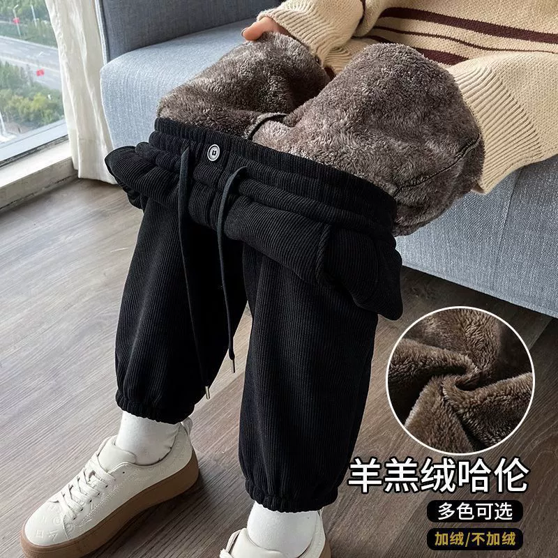 Кашемировые брюки женские бархатные утолщенные 2024 осень-зима новый дикий сетка красный пучок повседневные женские брюки Harlen