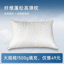 QβξƵSɫc^ ÆwSoiоF؛