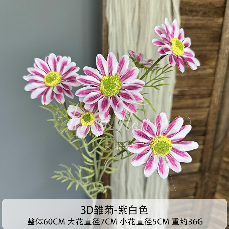 보라색 흰색