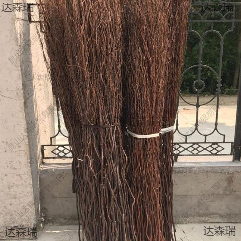 天然干树枝 龙柳干枝 假树枝装饰白色干花龙桑装饰隔断橱窗垒德株
