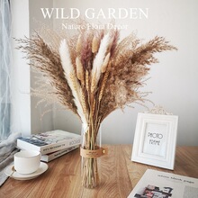 �R��ins���W�L��Ȼ�JȔ���m�ɻ�������˹�ݼҾ��b��g���2026