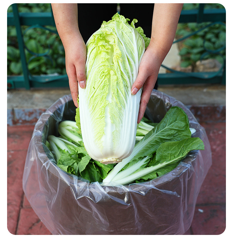 黄维腌菜袋子详情_17