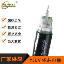 YJLV �Xо�����| 4*95+1*50 �͉��������|���˱��z�y֧�ֶ���