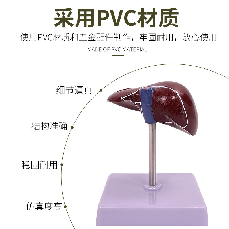 ���ಡ��ģ�� ֬��ģ�� �ε�ģ�� ����� ��������������ģ��