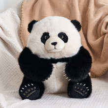 ���滨����؈���Є���@�o��Ʒ�ɐ۴���؈ë�q��߃�ͯ�Y�����ż