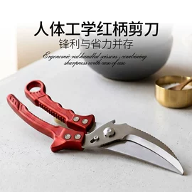 修枝剪;办公剪刀;厨用剪刀