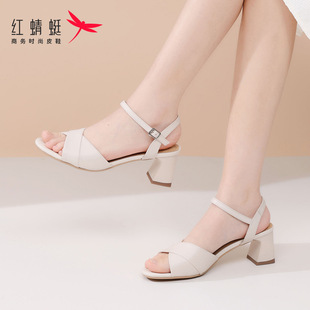 �t����2025�¿��ļ�Ůʿ���|�߸��r�b��ЬŮ����Ƥ�⴩��ȹ�Ӌ���