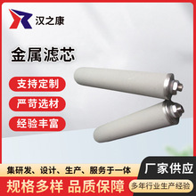 金属滤芯 不锈钢波折烧结粉末滤芯 金属材质钛棒烧结炉304滤芯