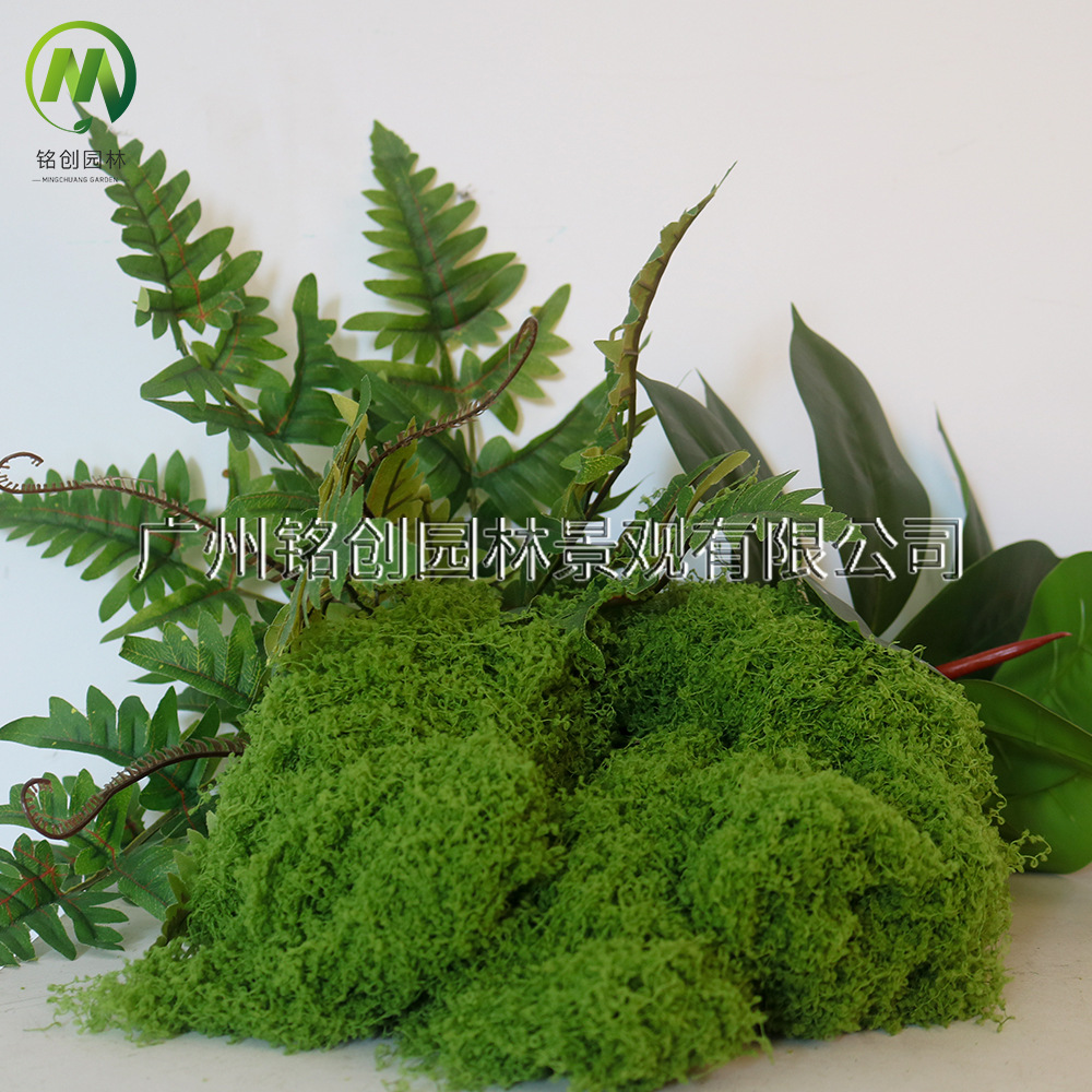 Simulación de decoración de micropaisaje de musgo, césped de musgo falso, musgo filamentoso, plantación verde, simulación de paisajismo, musgo