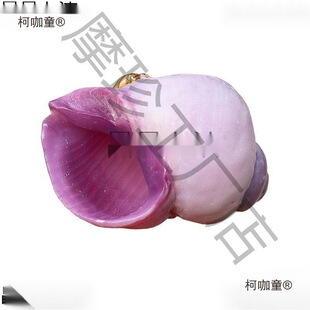 �Ͽ�ɺ������ȻС��ؐ��ϡ���ղ��~���b����ݼľ�з��Q����̫��