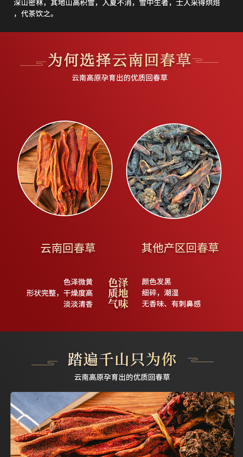 Huichun Cao Dried Herb 500g Yunnan Highland Suoyang Cao Traditional Herbal Decoction Pieces preparation