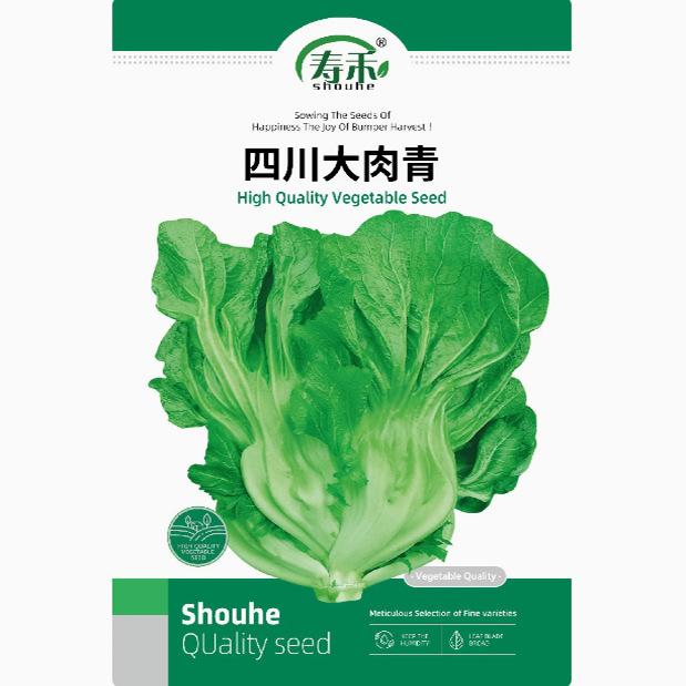 四川芥菜青菜种籽种子儿菜酸菜泡菜大全孑包心芥菜种籽疙瘩大肉青
