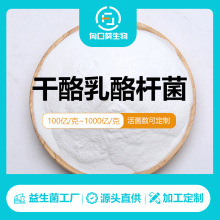 干酪乳酪杆菌益生菌活菌原粉乳酸冻干粉固体饮料源头生产厂家直供