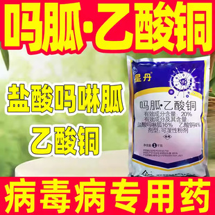 20%���������~���������Ú��������ǌ���ș�}������������~��