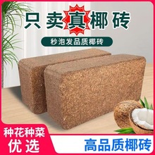 高泡发椰砖土营养土养花椰砖土种花泥土种菜有机脱盐椰糠椰砖大块