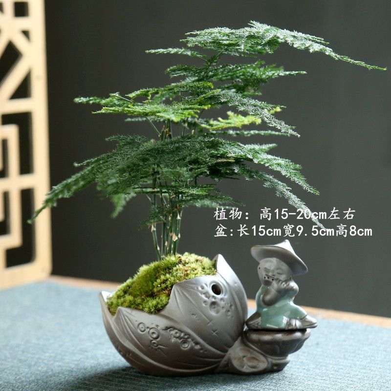 네덜란드 모자 양치기 소년 + 아스파라거스