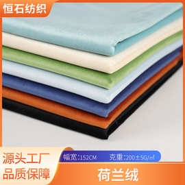 纯色荷兰绒面料丽丝绒加厚天鹅绒沙发垫抱枕宠物用品窗帘绒布批发