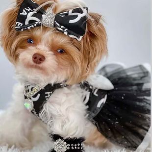 Factory direct tide brand ins new pet skirt small fragrance dog mesh strap skirt pet supplies wholesale