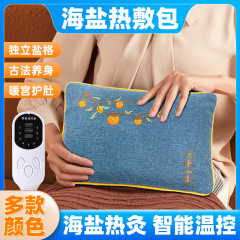 電気加熱海塩パック、温灸パック、温湿布理学療法パック、家庭用ヨモギ腰保護薬温湿布パック、お腹を温める海塩パック