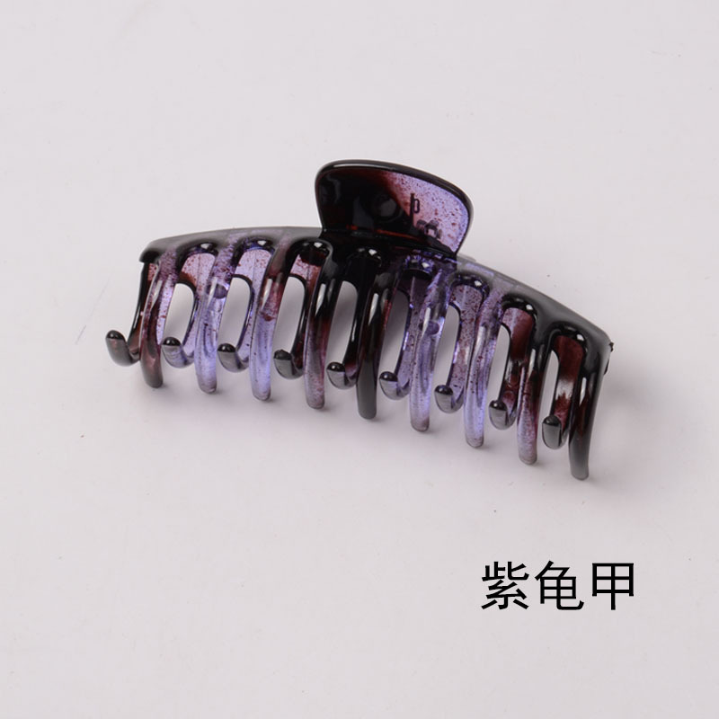 보라색 거북이 껍질