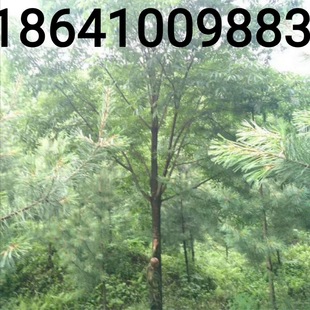 ˮ���� ����ˮ���� ������ ˮ�������� Ҏ���Rȫ