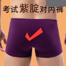 紫色内裤考试男紫色中考高考考研大红紫腚对短裤纯棉