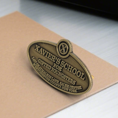 Yaxa sancaqları Gifted Young School Badge