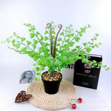 ����Gֲާ�ֲ�����m���~�Gֲ���� �������ϼٻ��Gɫֲ����