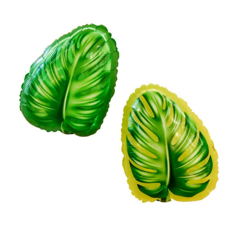 GT]CJJGNOCFSZK[$HJ`Q{2L