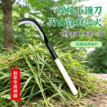 ���l�¿���������i����~ľ��砵�����㽶������˵��޽ӵ�