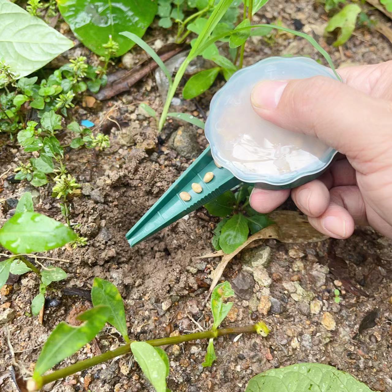 微信图片_20230729160624