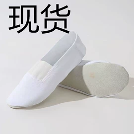 舞蹈鞋;轮滑、速滑;综合训练鞋