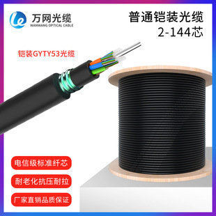 Optical Cable manufacturers supply 4-core 8-core 12-core 24-core 48-core GYTY53 optical cable outdoor direct buried communication optical fiber cable