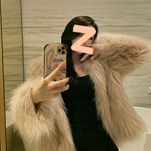 2025¿ºëƤŮ̿pˮëqëë